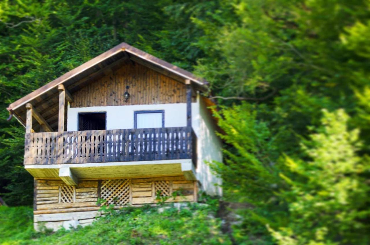 Satu Muscelean Hotel Albestii de Muscel Exterior foto